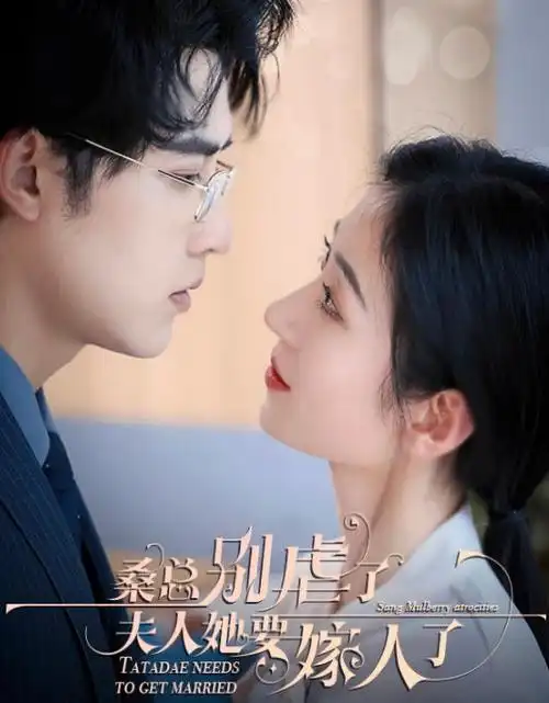 归途列车全集手机免费在线观看